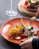 Ceramic Dinner Plates 11 Inch - Large Serving Dishes Set of 4 for Steak, Pasta - Stoneware Dinnerware Sets Scratch Resistant, Brown